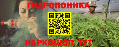 spice Кунгур