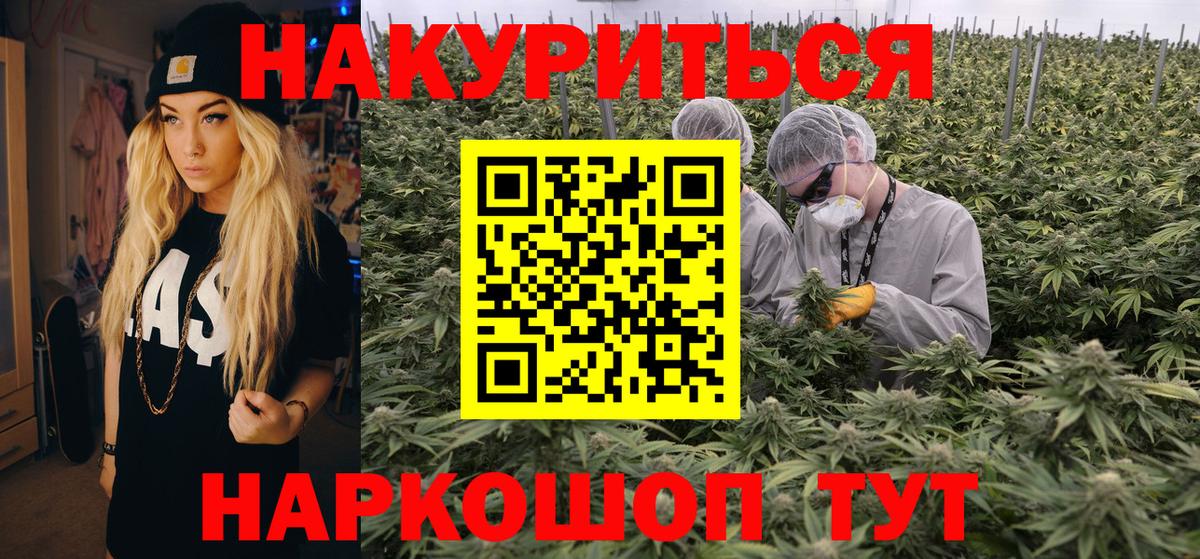 Канабис сатива Грязи